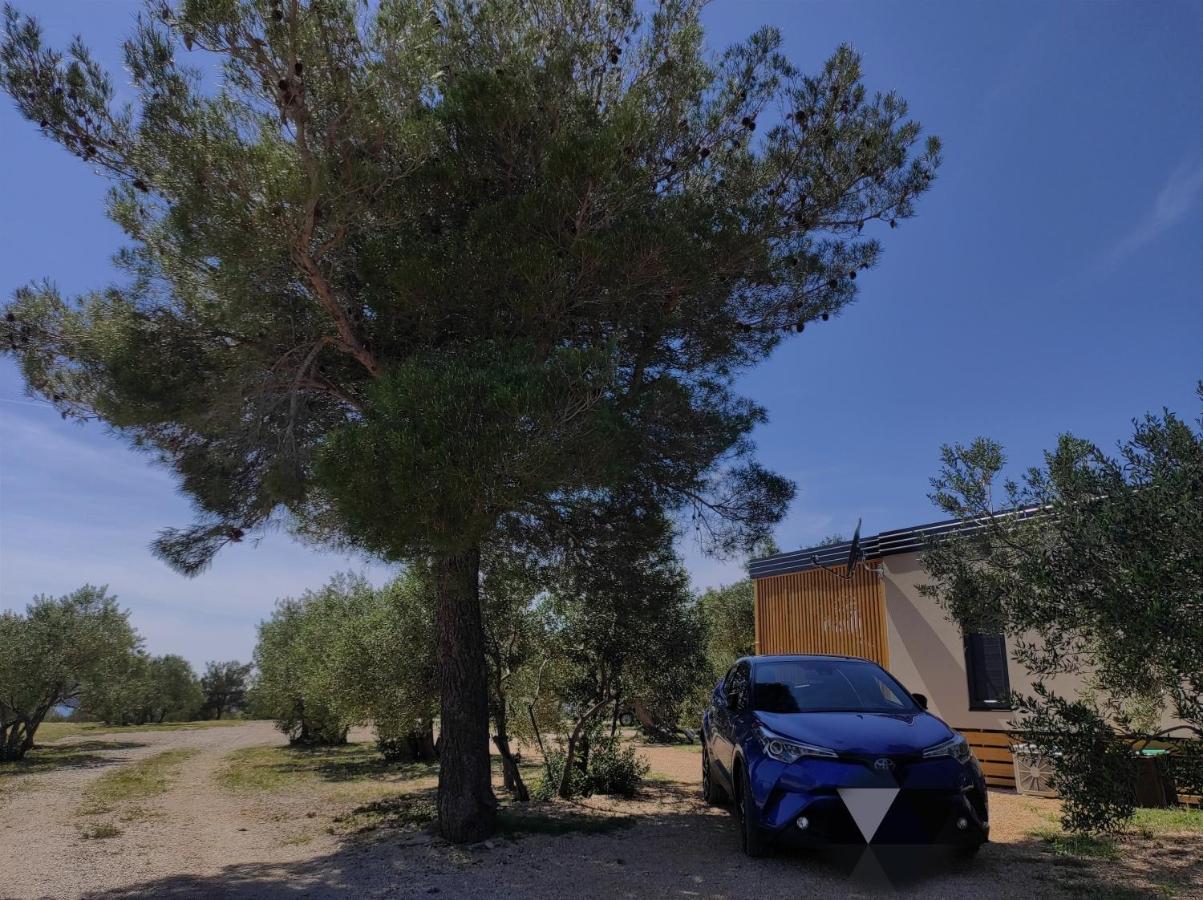 Zen Zone Premium Mobile Home Drage Exterior foto